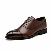 Sapato Masculino Oxford Marrom - TERNO LUX